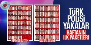Aranan 63 Suçlu Yakalanarak Türkiye’ye Getirildi