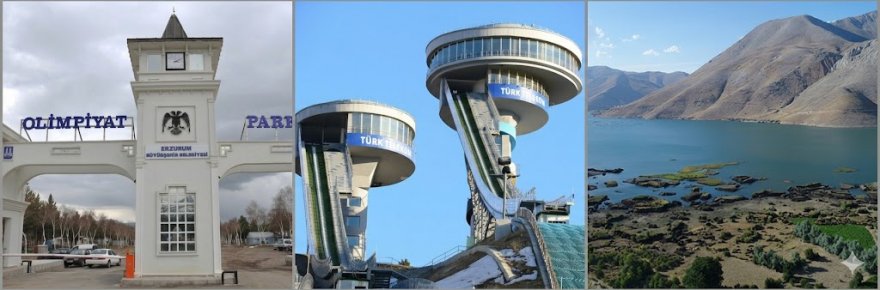 333-001.jpg