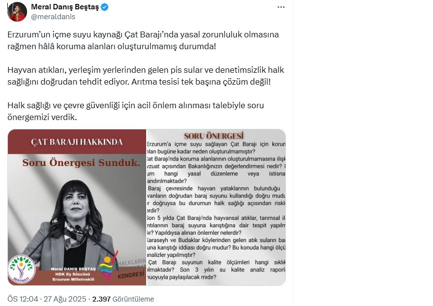 meral-danis.png