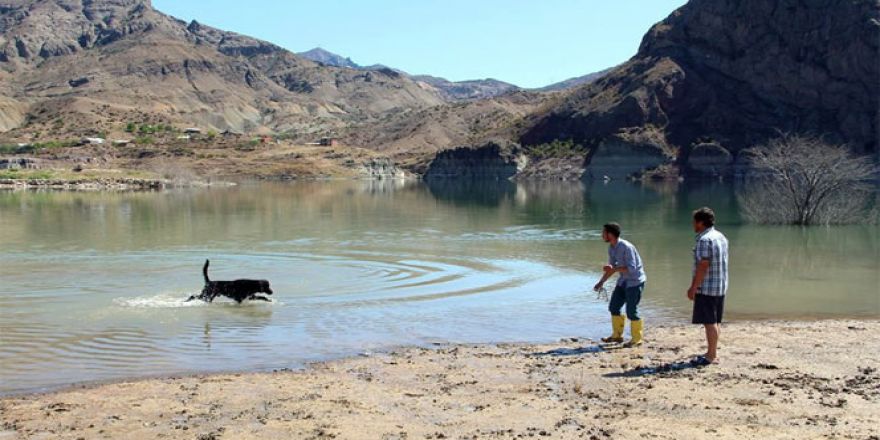 Balıkçı köpek sahibine günlük iki kilo balık yakalıyor